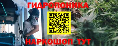 бошки Будённовск