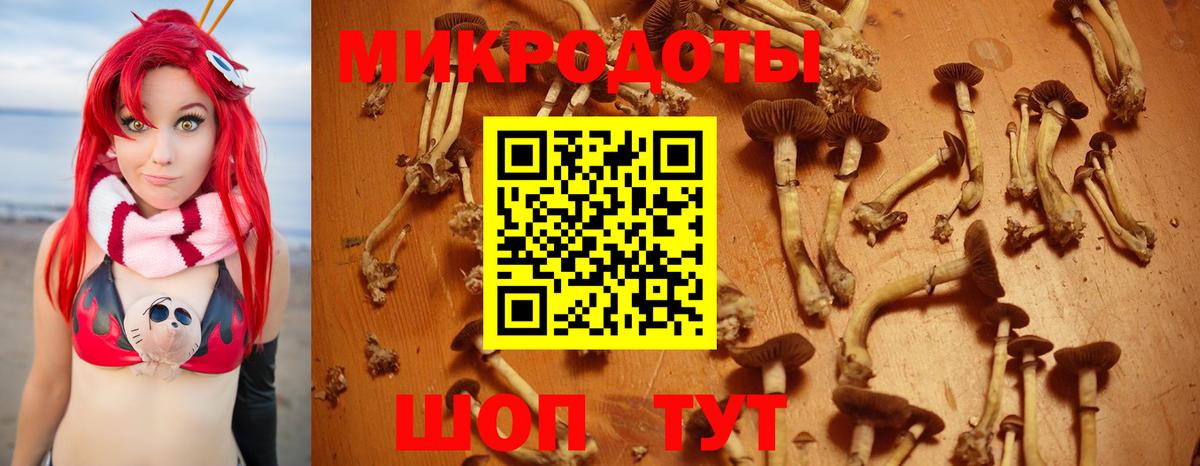 Псилоцибиновые грибы ЛСД  Вход с VPN  Пенза 